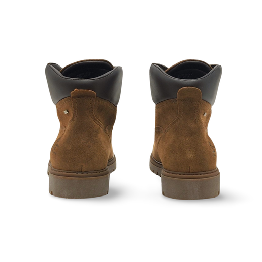 Botas Y Botines Panama Jack AMUR GTX C34 piel marrón