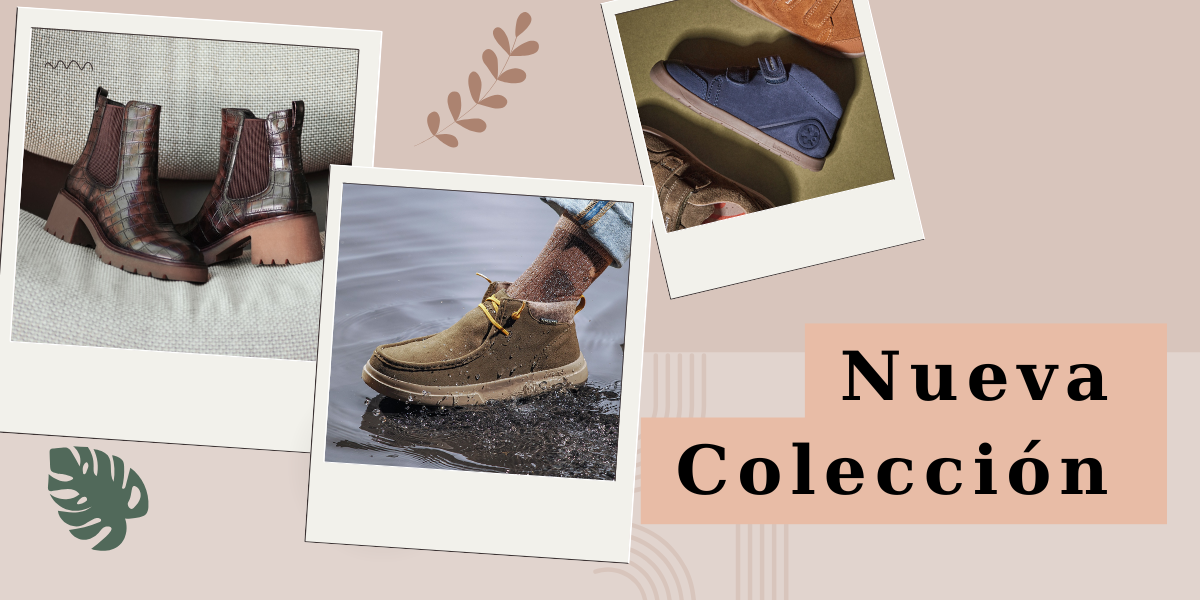 newcollection